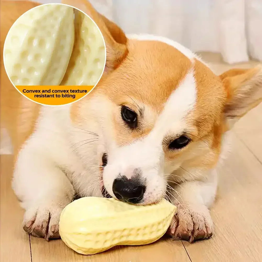 Juguete Masticable para Perros – Forma Maní con Sonido | Envío Gratis Chile